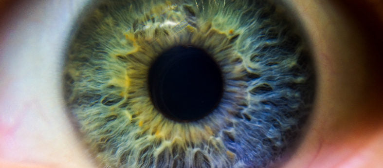 What Does Blue Light Do to Your Eyes?